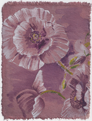 Black Poppy