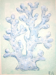 Blue Coral No. 1