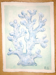 Blue Coral No. 1