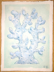 Blue Coral No. 2