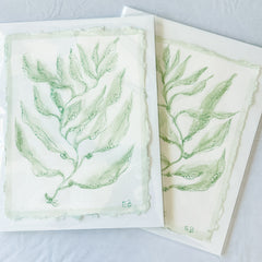 Green Sea Kelp No. 2