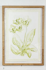 Toile Orchid No. 1