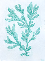 Viridian Seaweed No. 1