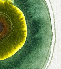 God's Eye 128