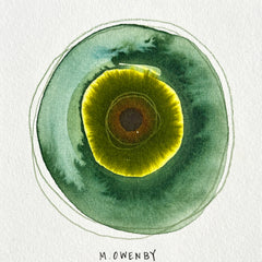 God's Eye 128