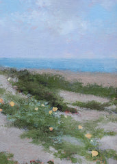 Hazy Days of Summer