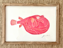 Pinky the Pufferfish