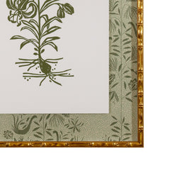 Botanical 54