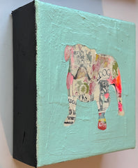 Bulldog Blue