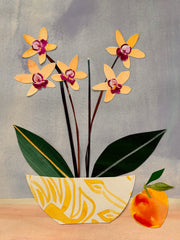 Orchids in the Morning