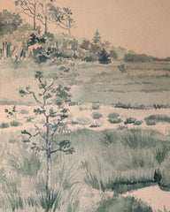Oak Island