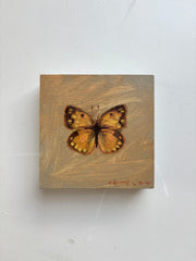 Orange Sulphur Butterfly