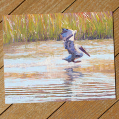 Pelican Touchdown