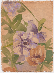 Ranunculus and Sweet Pea