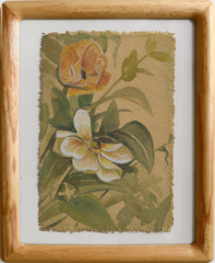 Ranunculus