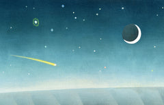 Coastal Cosmos (Fox)