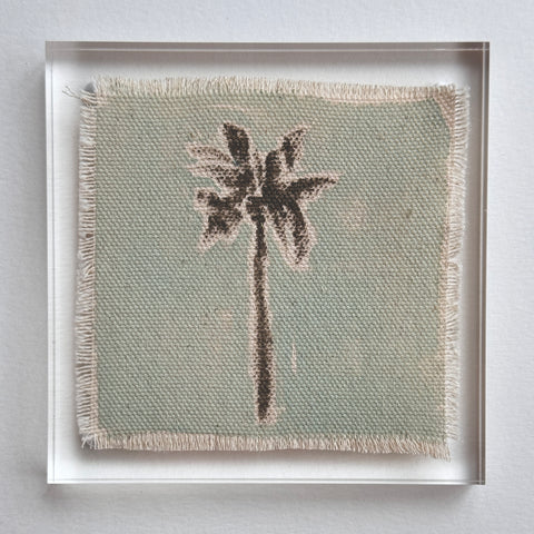 Original Hurricane Palm 10