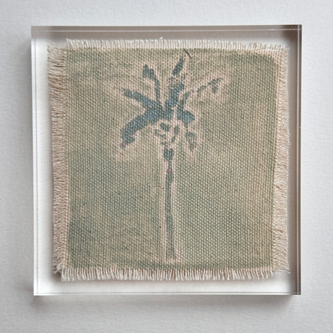 Original Hurricane Palm 11