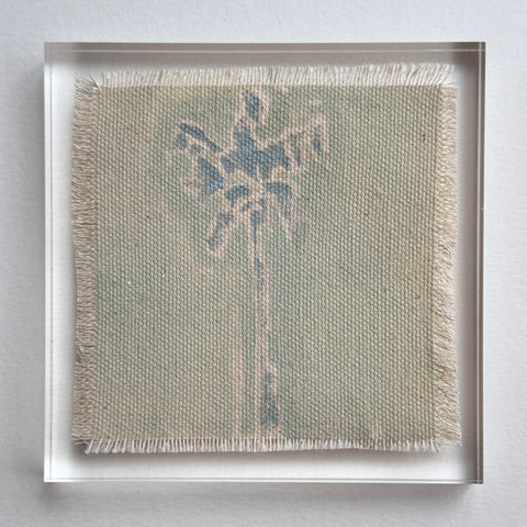 Original Hurricane Palm 14