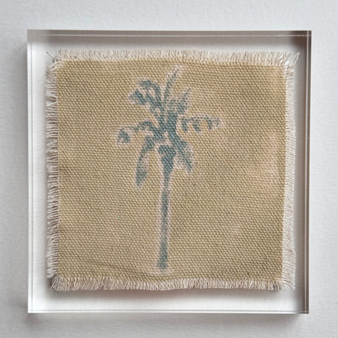 Original Hurricane Palm 15