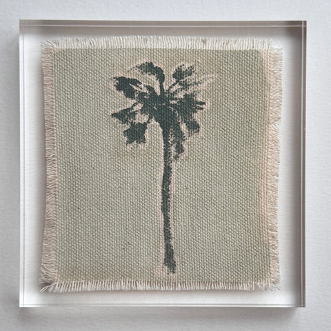 Original Hurricane Palm 17