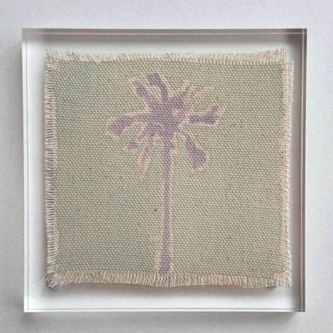 Original Hurricane Palm 7