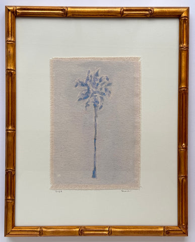 Original Hurricane Palm XL 2