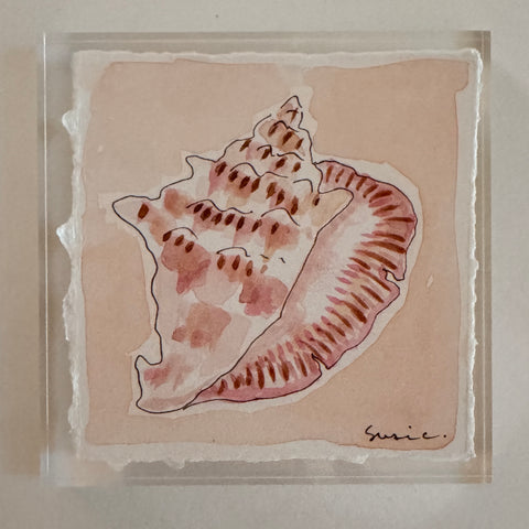 Original Seashell 13
