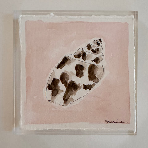 Original Seashell 16