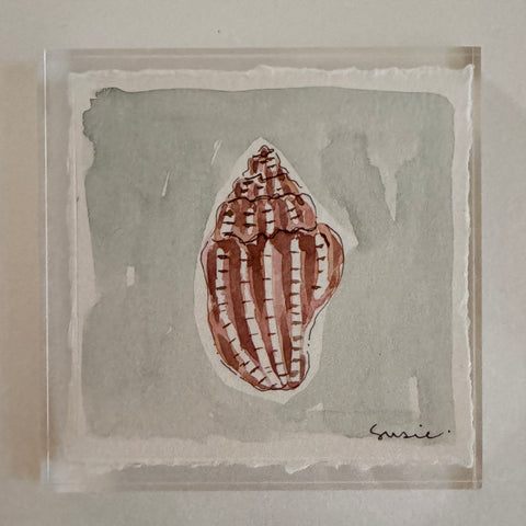 Original Seashell 20