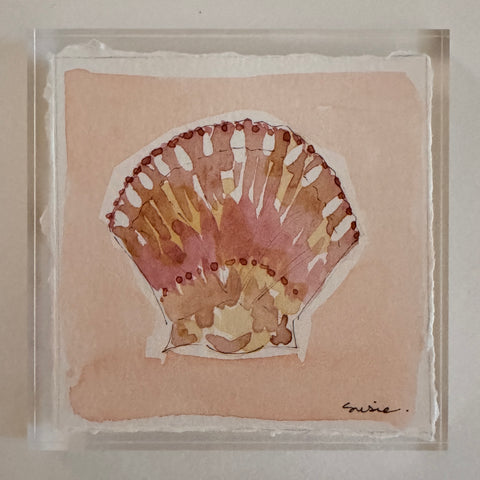 Original Seashell 23