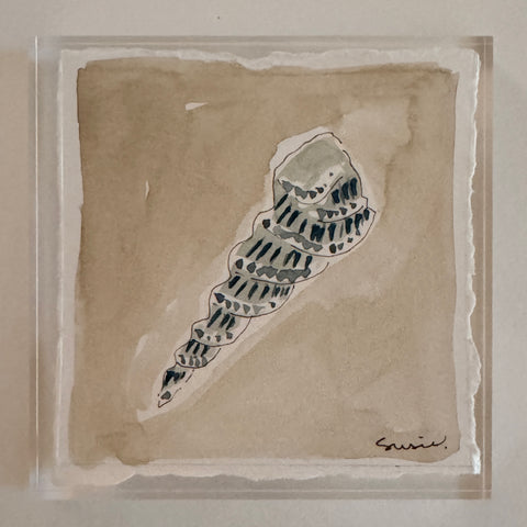 Original Seashell 27