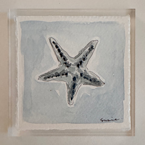 Original Seashell 34