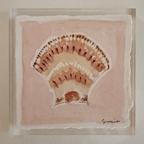 Original Seashell 35