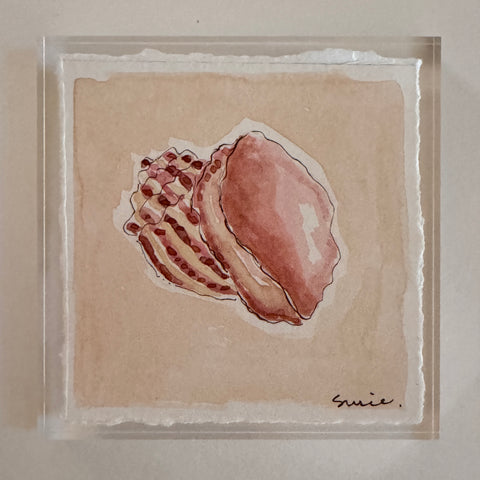 Original Seashell 8