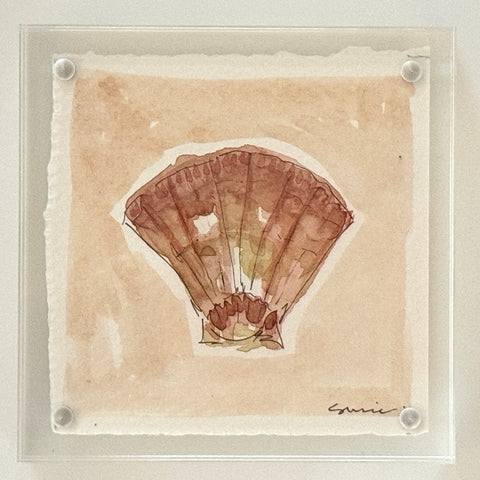 Original Susie Shell No. 20