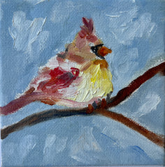 Northern Cardinal