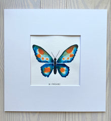 Butterfly No. 2