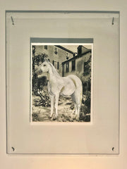 In the Courtyard