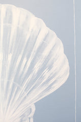 Scallop Shell on Blue