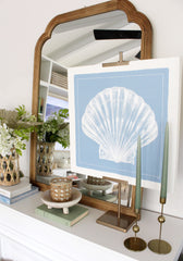 Scallop Shell on Blue