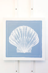 Scallop Shell on Blue