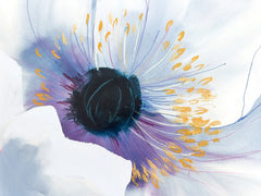 Unfolding Into You