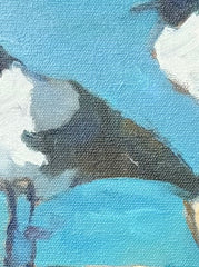 Bird Watching