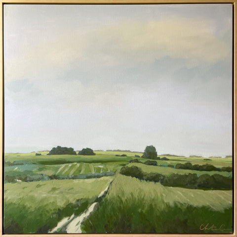 Tennessee Fields Forever