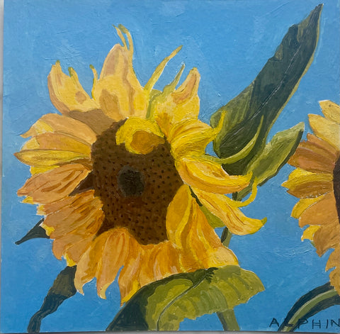Sunflowers