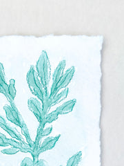 Viridian Seaweed No. 1