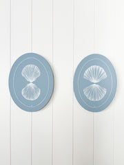 Fan Shell Reflection