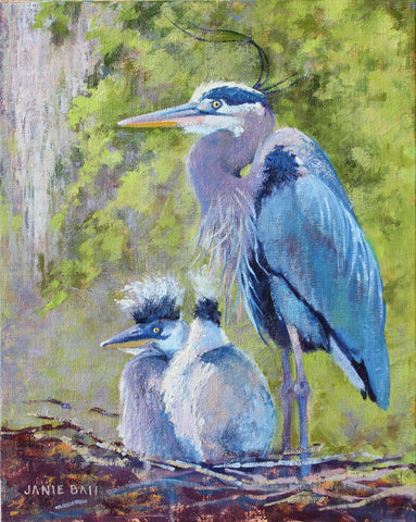 Great Blue Heron and Two Chicks