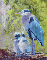 Great Blue Heron and Two Chicks